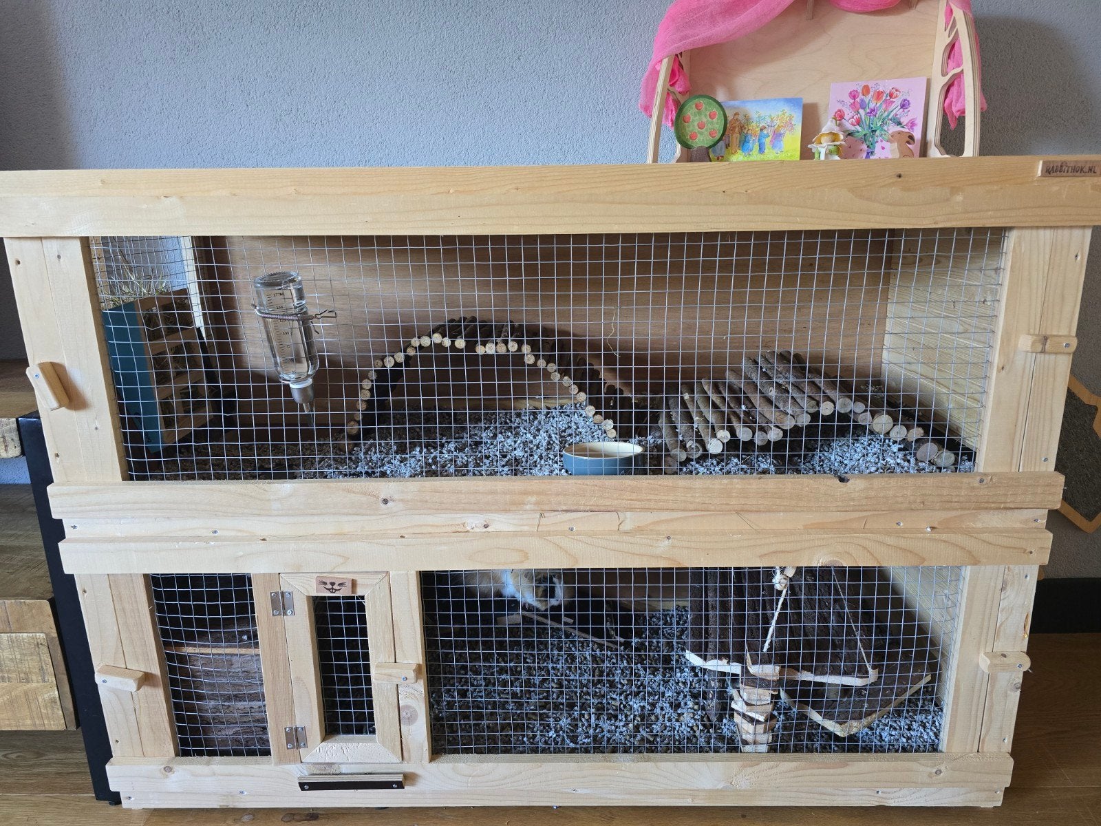 2 mannetjes cavia's met hok en toebehoren, Ophalen, 90 cm of meer, Hok, Cavia