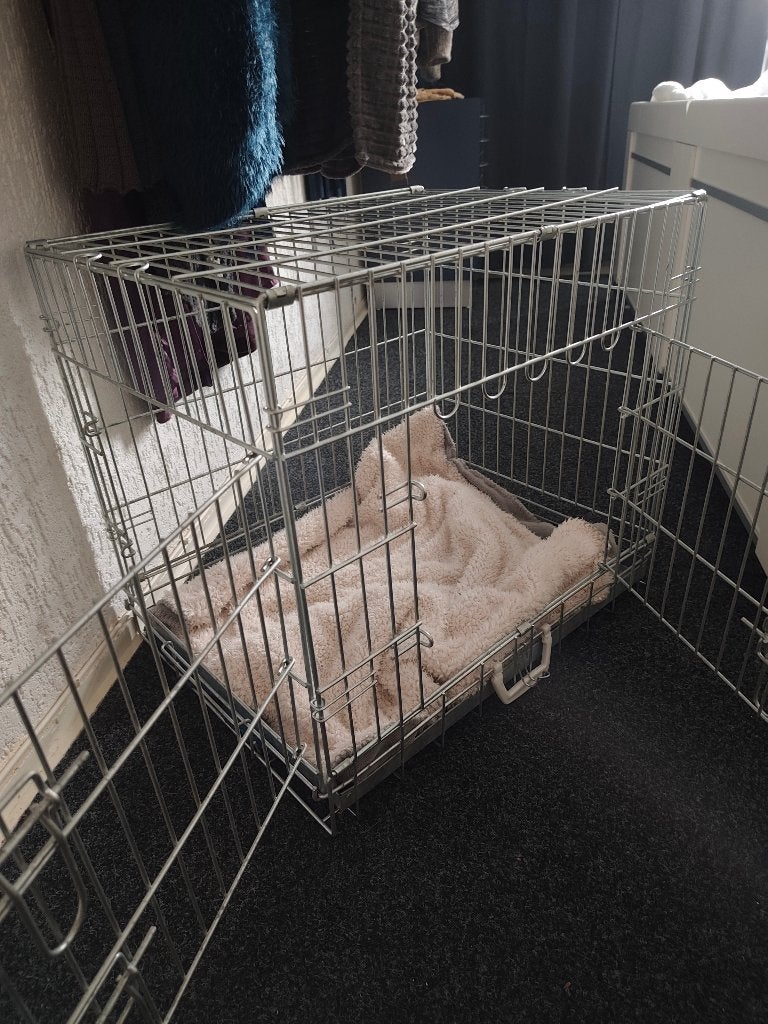 Honden bench, Ophalen, Zo goed als nieuw
