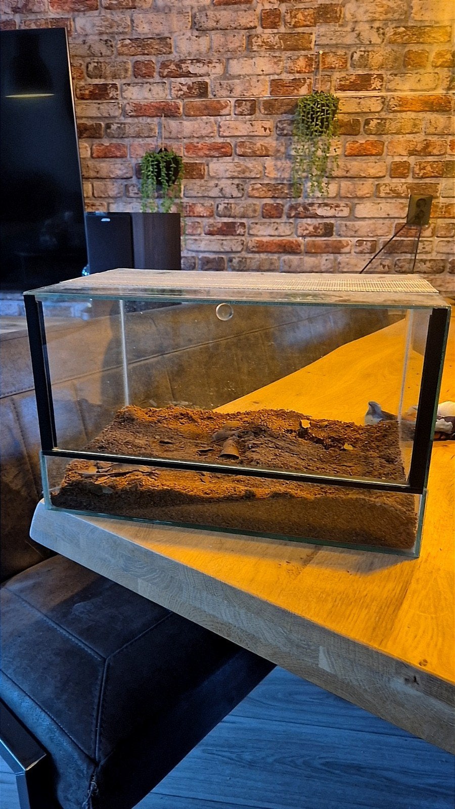 20x40 terrarium met valdeur, Ophalen, Gebruikt, Terrarium of Paludarium