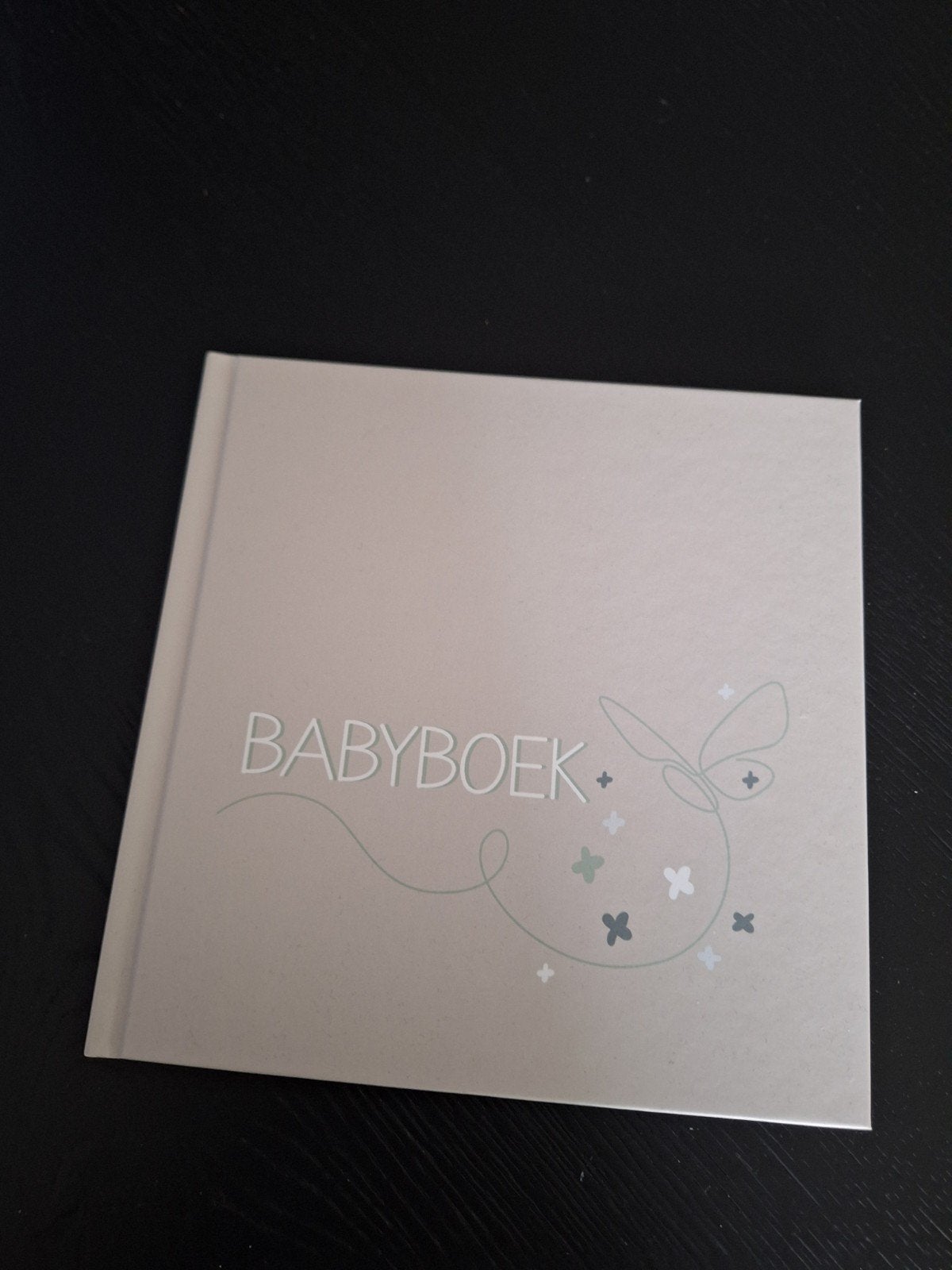 Babyboek - Mijn eerste jaar, Ophalen, Zo goed als nieuw, 0 tot 6 maanden