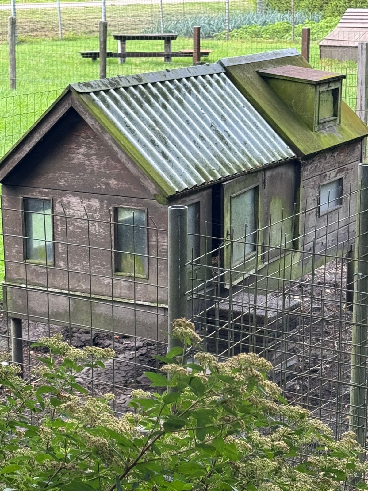 Kippenhok, Ophalen, Zo goed als nieuw, Kippenhok of Kippenren