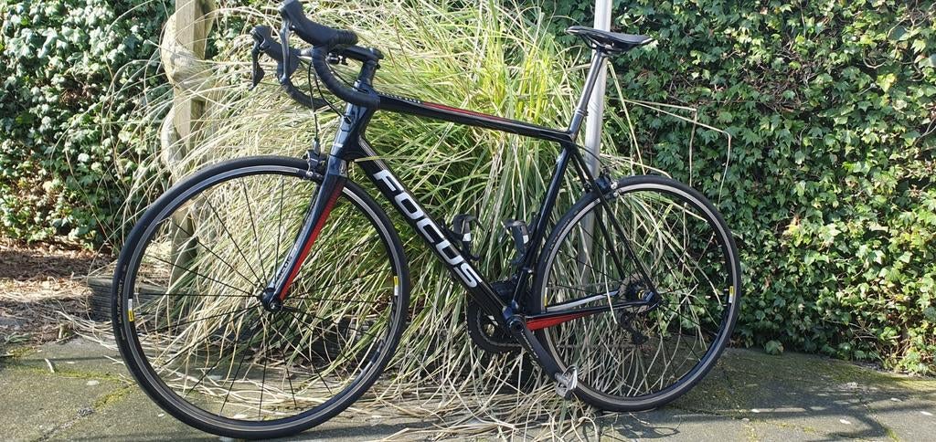 Focus Izalco Race Ultegra carbon, Ophalen, Zo goed als nieuw, Overige typen