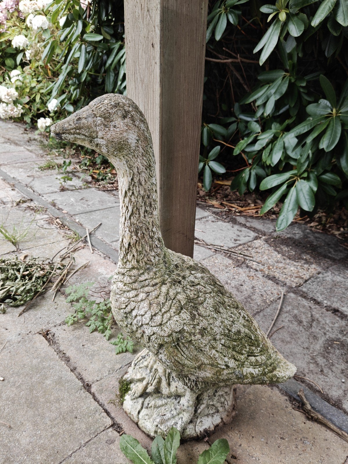 beeld gans, Ophalen, Gebruikt, Beton, Dierenbeeld