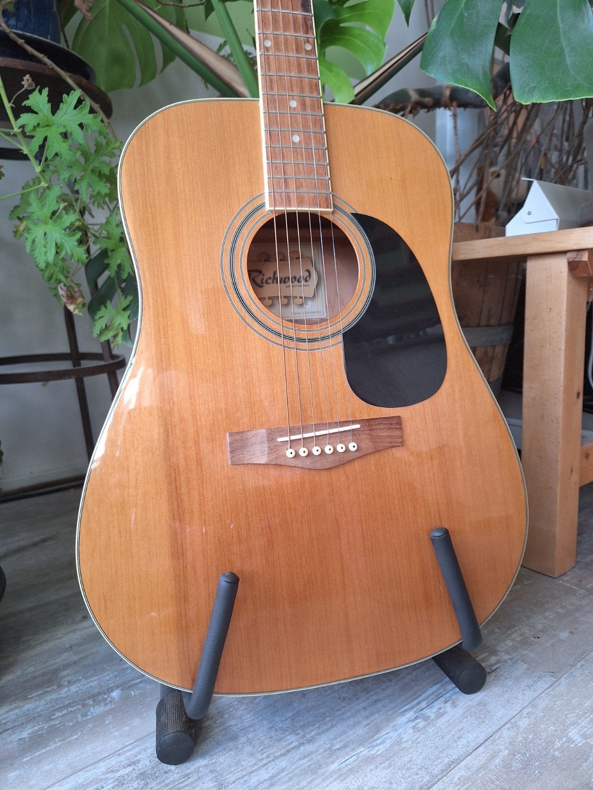Richwood RD-12 western gitaar, Ophalen of Verzenden, Gebruikt, Overige typen