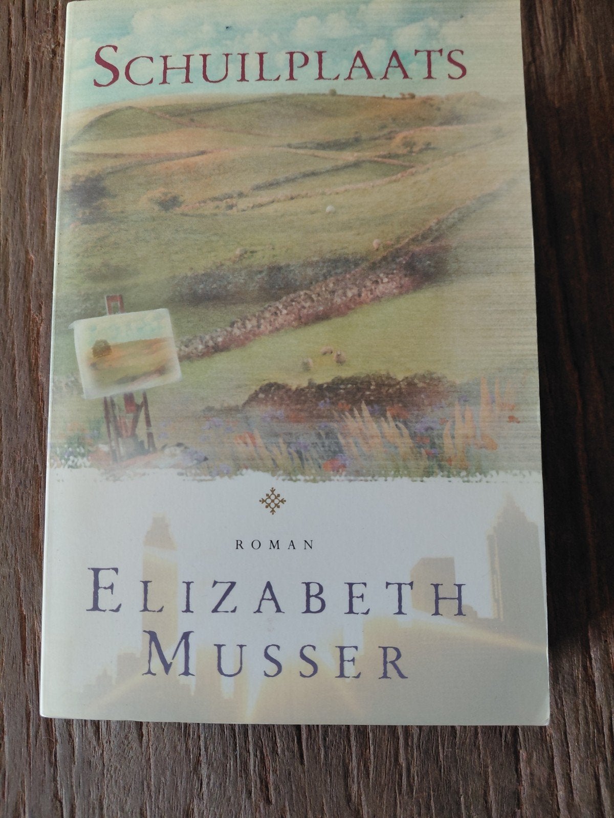 Elizabeth Musser - Schuilplaats, Ophalen of Verzenden, Zo goed als nieuw, Elizabeth Musser