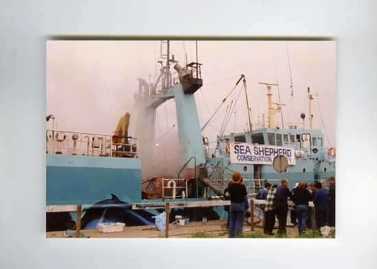 scheepvaart-foto-sea shepherd-2x, Ophalen of Verzenden, Zo goed als nieuw, Motorboot, Boek of Tijdschrift