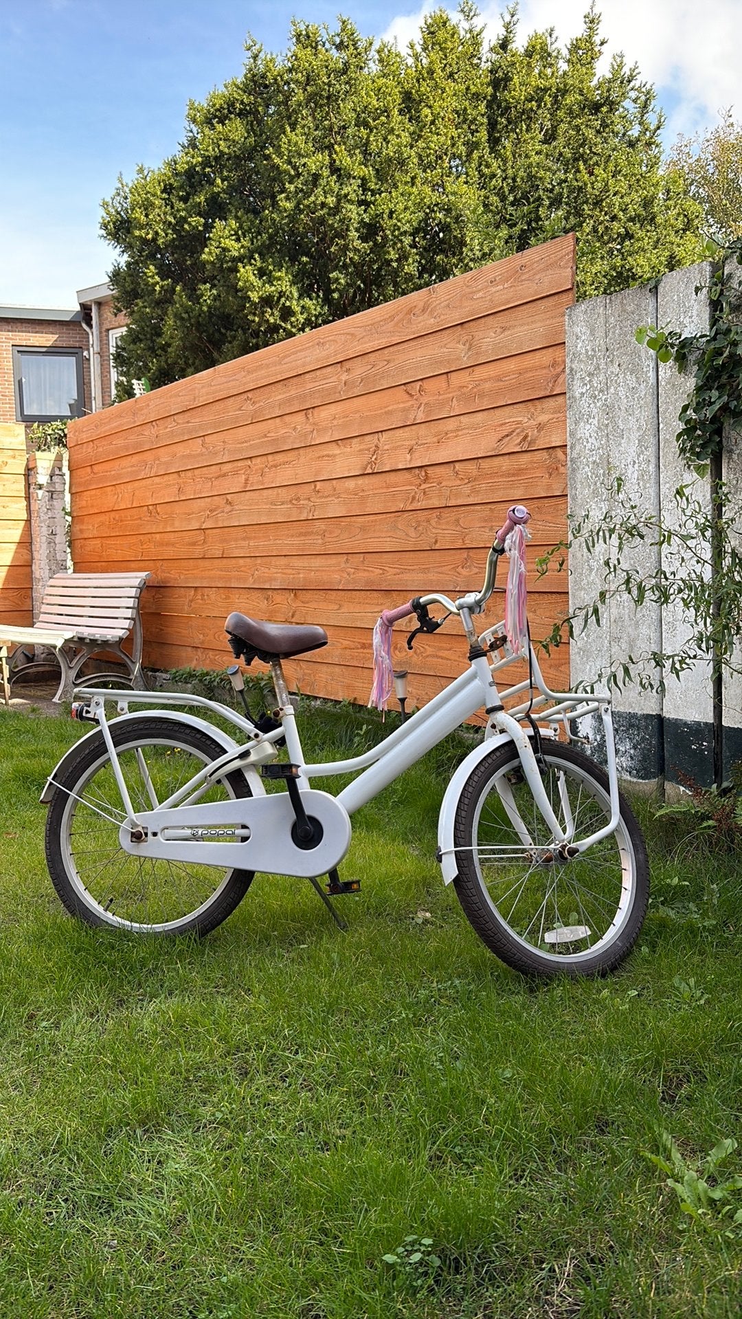 Popal meisjes fiets, Ophalen, Gebruikt, Velgrem, Handrem