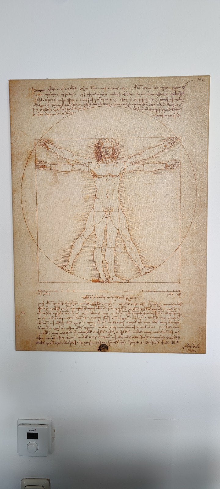 De Vitruviusman - Leonardo da Vinci reproductie, Antiek en Kunst, Kunst | Schilderijen | Klassiek, Ophalen