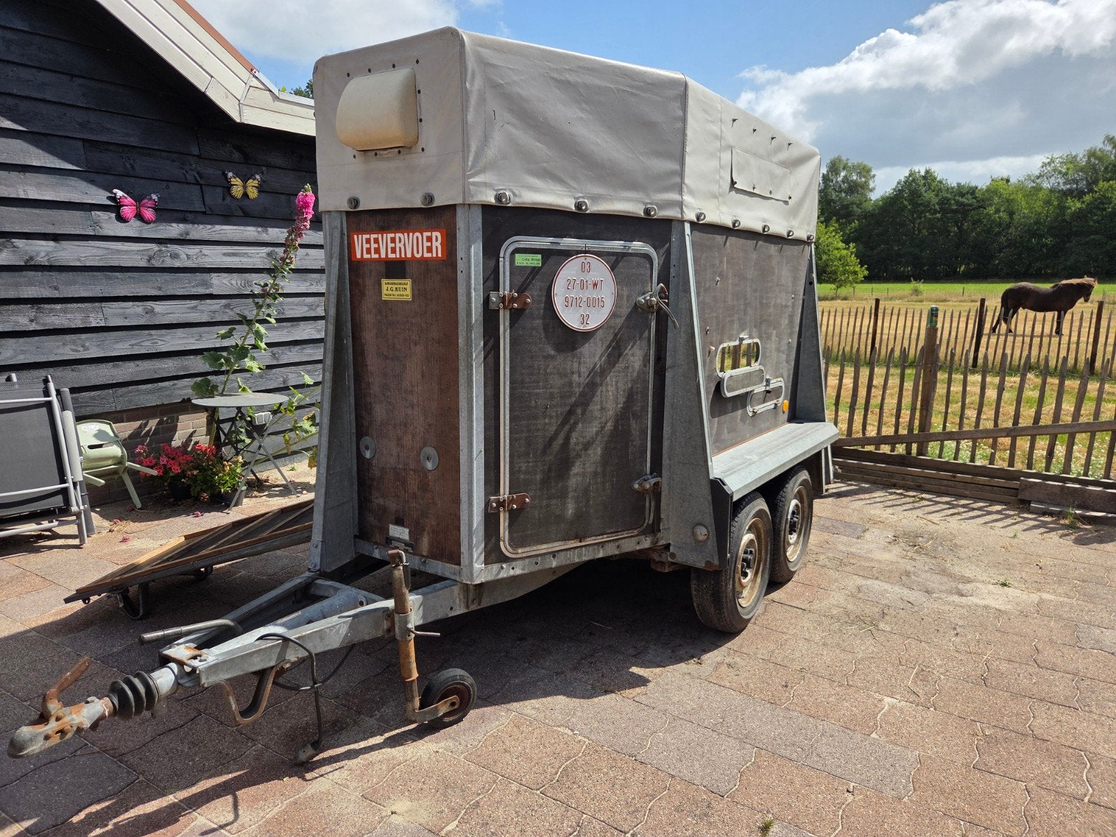 Westfalia Paardentrailer (1,5 paards) - Opknapper, Ophalen, Gebruikt, Hout, 1½-paards trailer