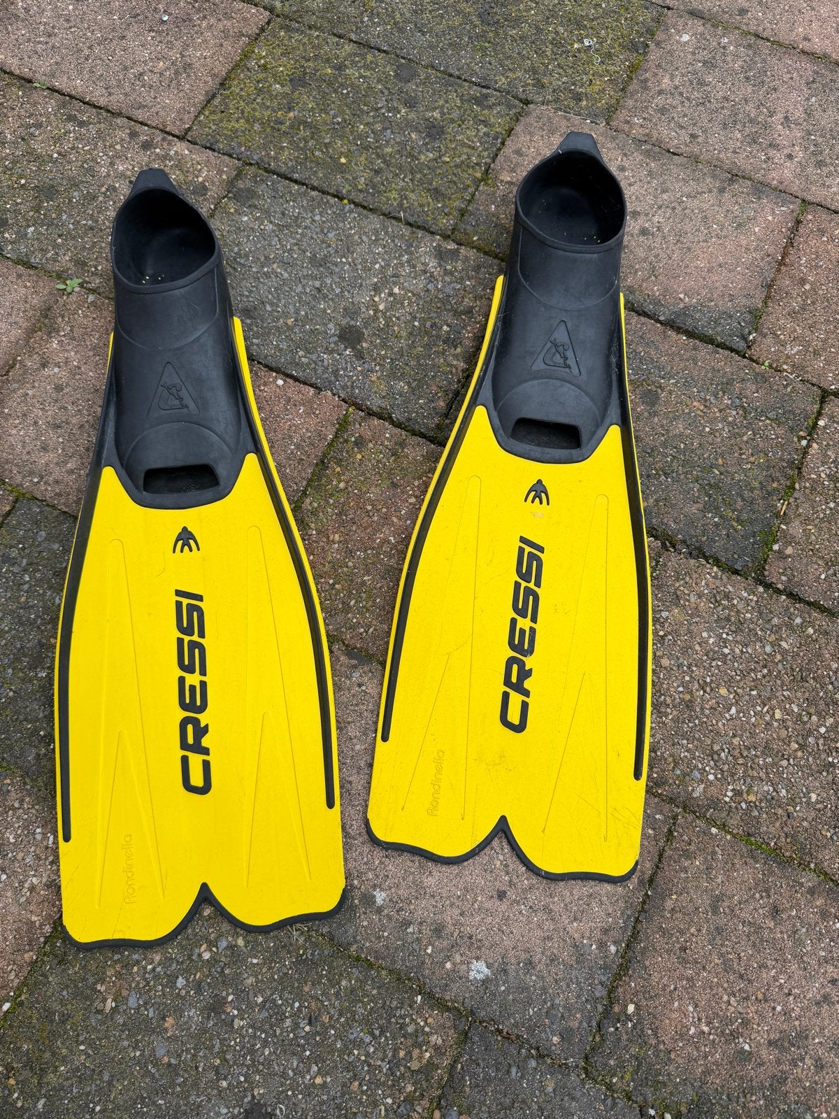 GRATIS Cressi zwemvliezen - Geel. Maat 47/48 Heren, Watersport en Boten, Ophalen of Verzenden, Gebruikt, Zwem- of Duikvliezen
