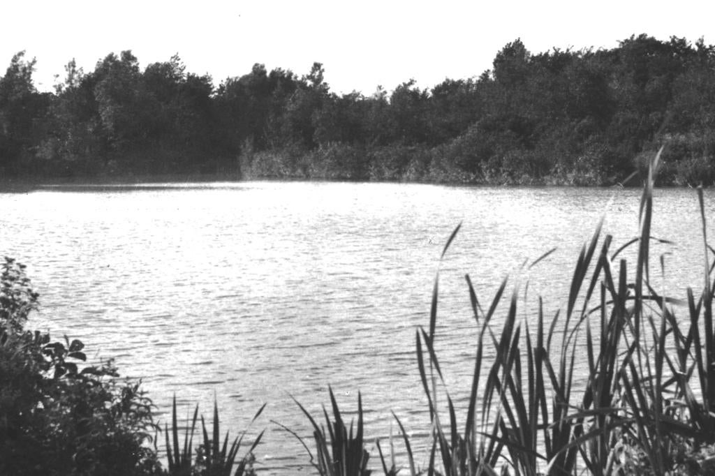 967115 Tussen Oostvoorne en Rockanje Zeeland Tenellaplas, Ophalen of Verzenden, 1960 tot 1980, Gelopen, Zeeland