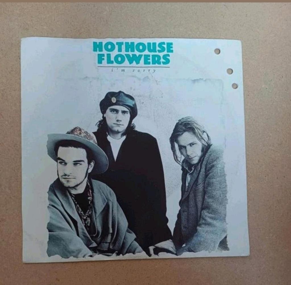 Hothouse Flowers  - I'm Sorry, Beschermende buitenhoes, Ophalen of Verzenden, Gebruikt, Pop
