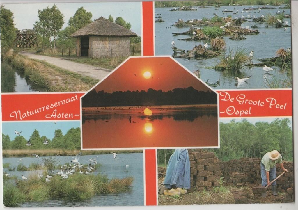 Asten Natuurreservaat en De Grote Peel 1983 Zie achterkant, Ophalen of Verzenden, 1980 tot heden, Gelopen, Noord-Brabant
