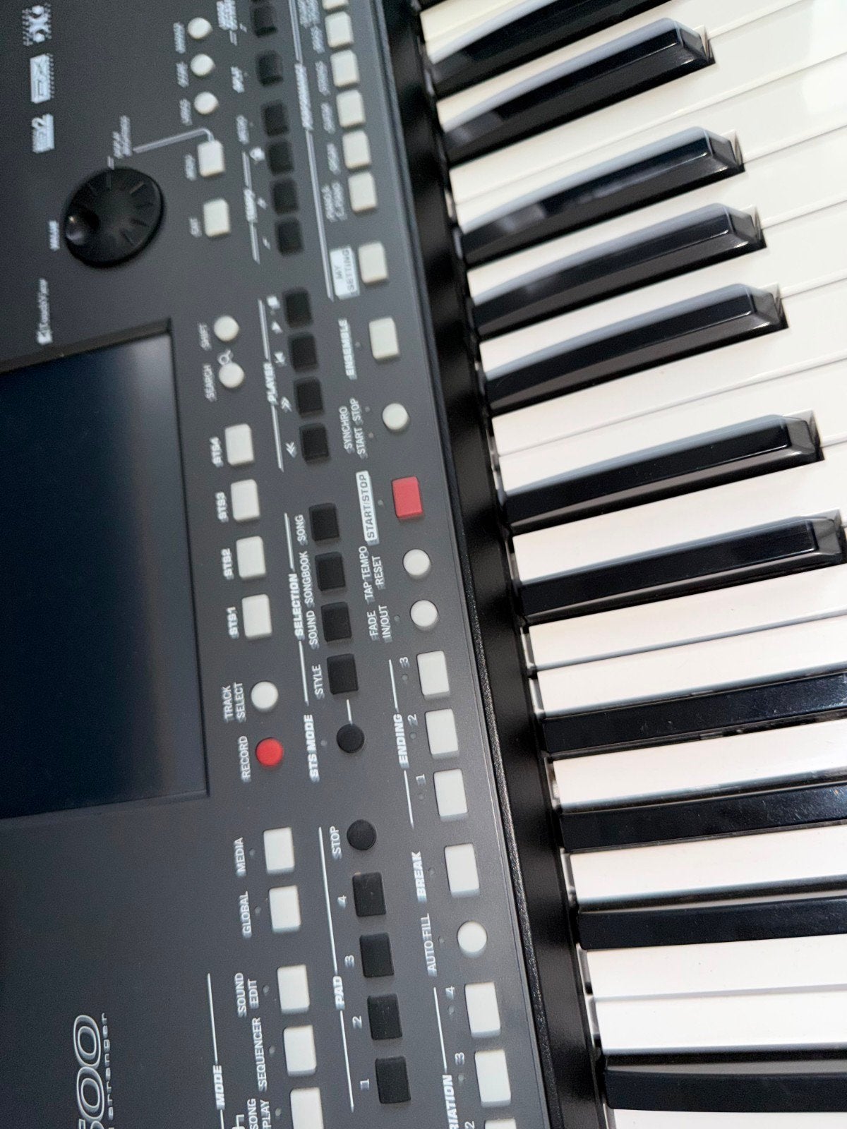 Korg PA600 Professional Arranger Keyboard - nnZo goed als ni, Muziek en Instrumenten, Keyboards, Ophalen of Verzenden, Zo goed als nieuw