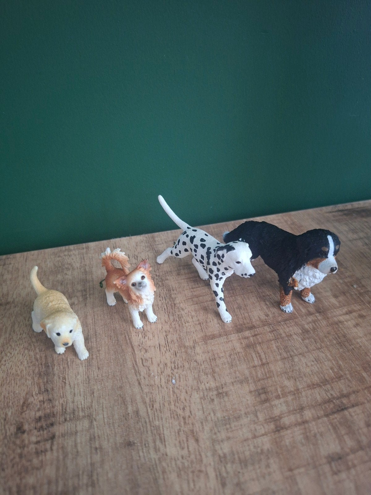 Honden set (Sleich) - Dalmatiër, Berner Sennen, Chihuahua, Ophalen of Verzenden, Zo goed als nieuw