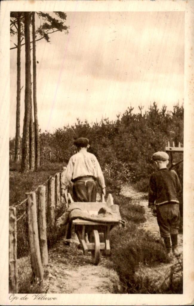 Veluwe - Jongens - Kruiwagen, Ophalen of Verzenden, 1920 tot 1940, Gelopen, Gelderland