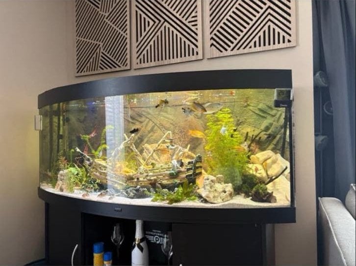 Juwel Aquariam bol raam + JBL filter incl. Afmeten 151x61x64, Dieren en Toebehoren, Vissen | Aquaria en Toebehoren, Ophalen, Zo goed als nieuw