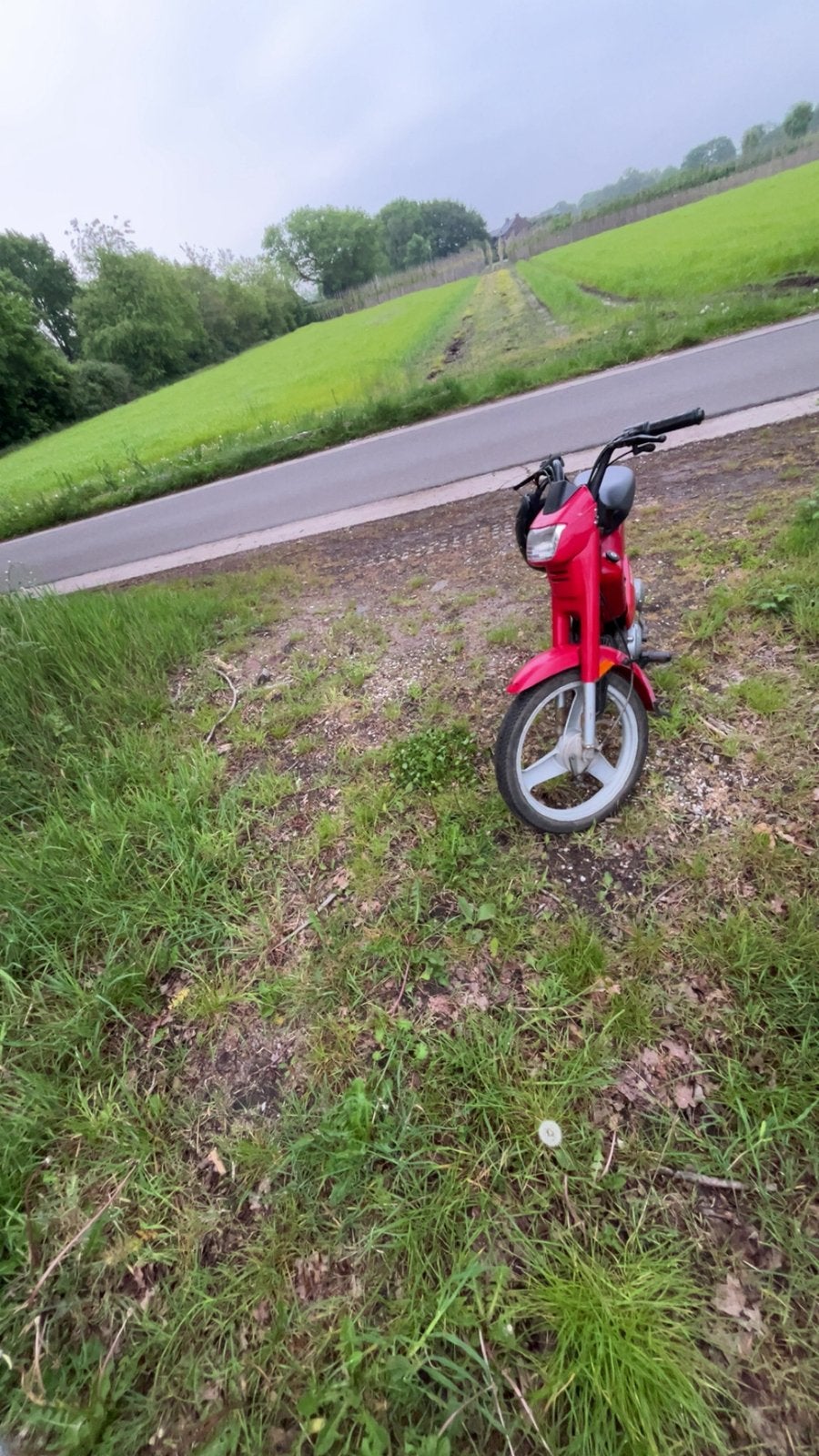 Peugeot fox brommer(heeft vastloper), Fietsen en Brommers, Brommers | Peugeot, Ophalen, Gebruikt, Fox, Maximaal 25 km/u