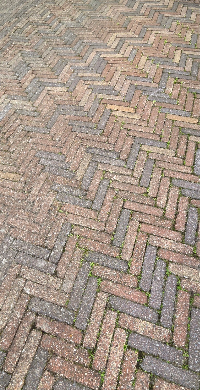 Gebruikte stenen/klinkers uit de voortuin 15m2 (gratis), Ophalen, Gebruikt, 10 m² of meer