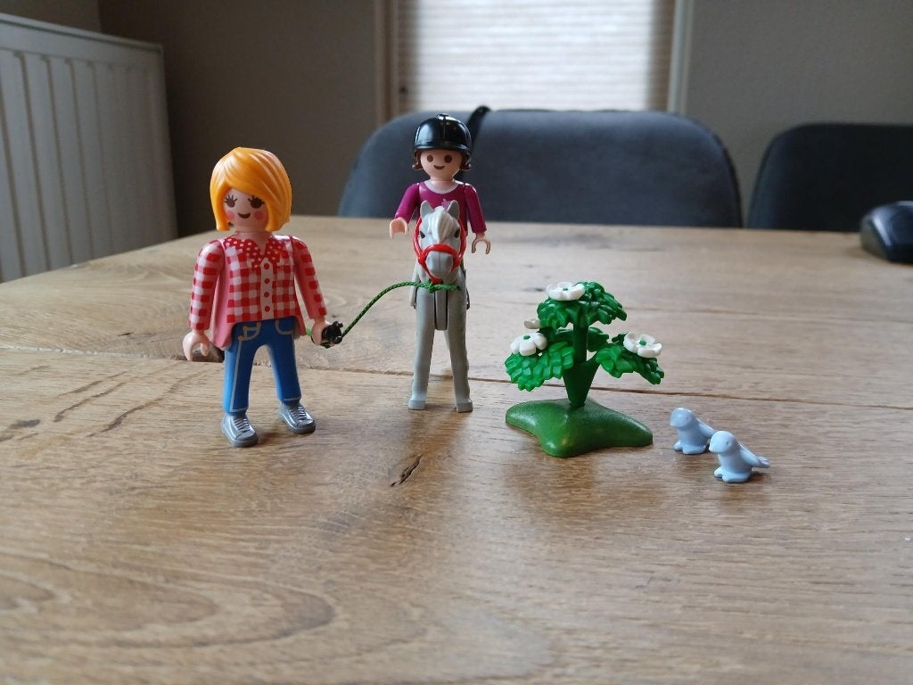 Playmobil Ponyrijden met mama - 6950 + 5688, Ophalen of Verzenden, Zo goed als nieuw, Complete set