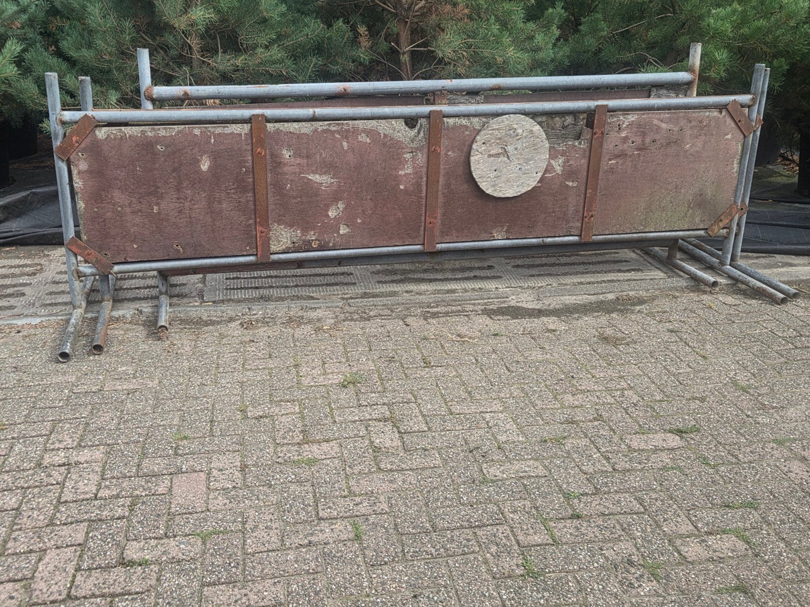 3 lange vanghok hekkens, Meerdere dieren, Schaap