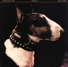 Pixies Maassilo - kaartje gezocht, 1980 tot heden, Overige formaten, Ophalen of Verzenden, Zo goed als nieuw