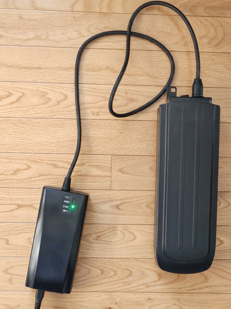 Gazelle Platina accu inclusief originele oplader, Ophalen, Gebruikt