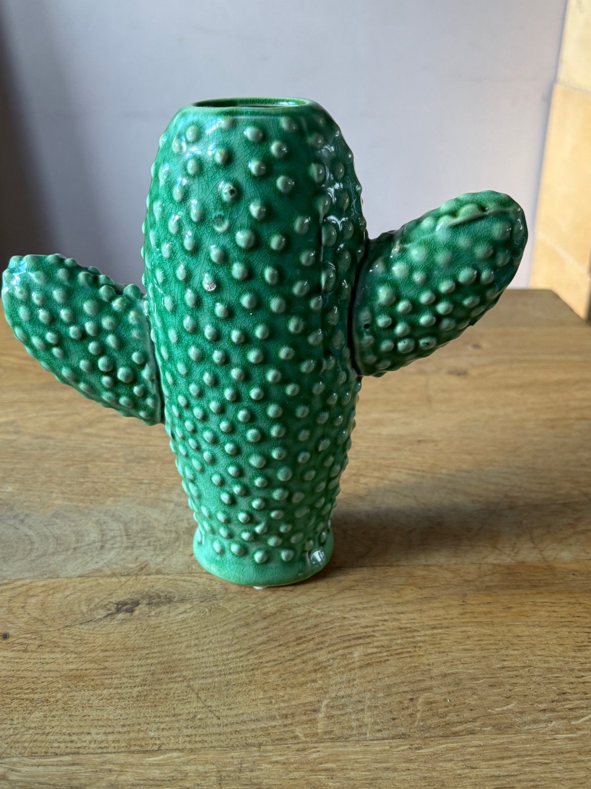 Groene Serax cactus vaas, Huis en Inrichting, Ophalen, Zo goed als nieuw, Steen/keramiek, 21 cm