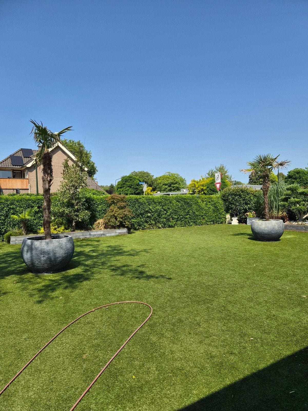 Grote ronde bloempot voor palmboom of andere planten, Ophalen, Gebruikt, 100 cm of meer, Rond