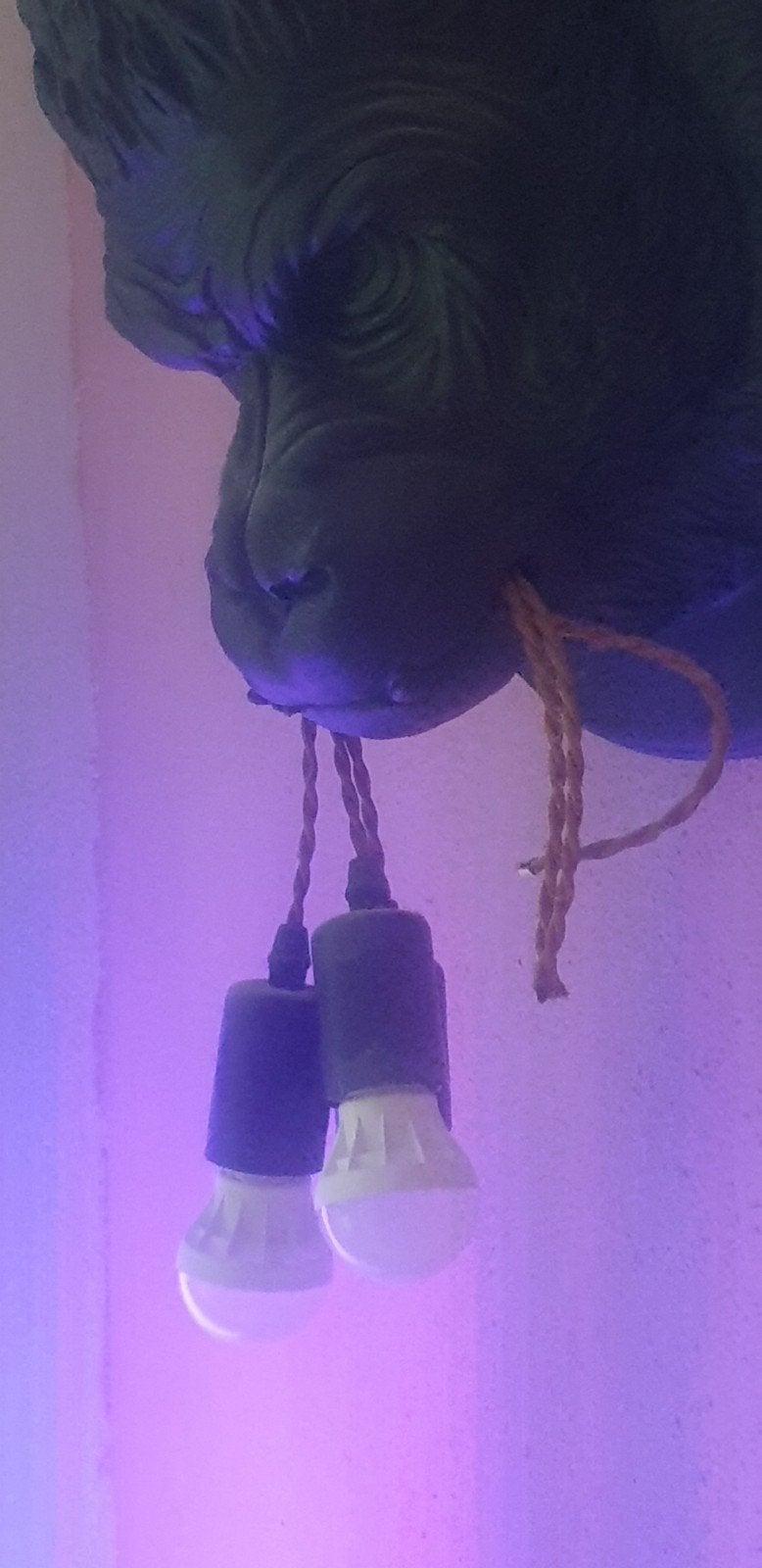 Unieke Gorilla Wandlamp met Dubbele Fitting, Ophalen, Overige merken, Kunststof, Zwart