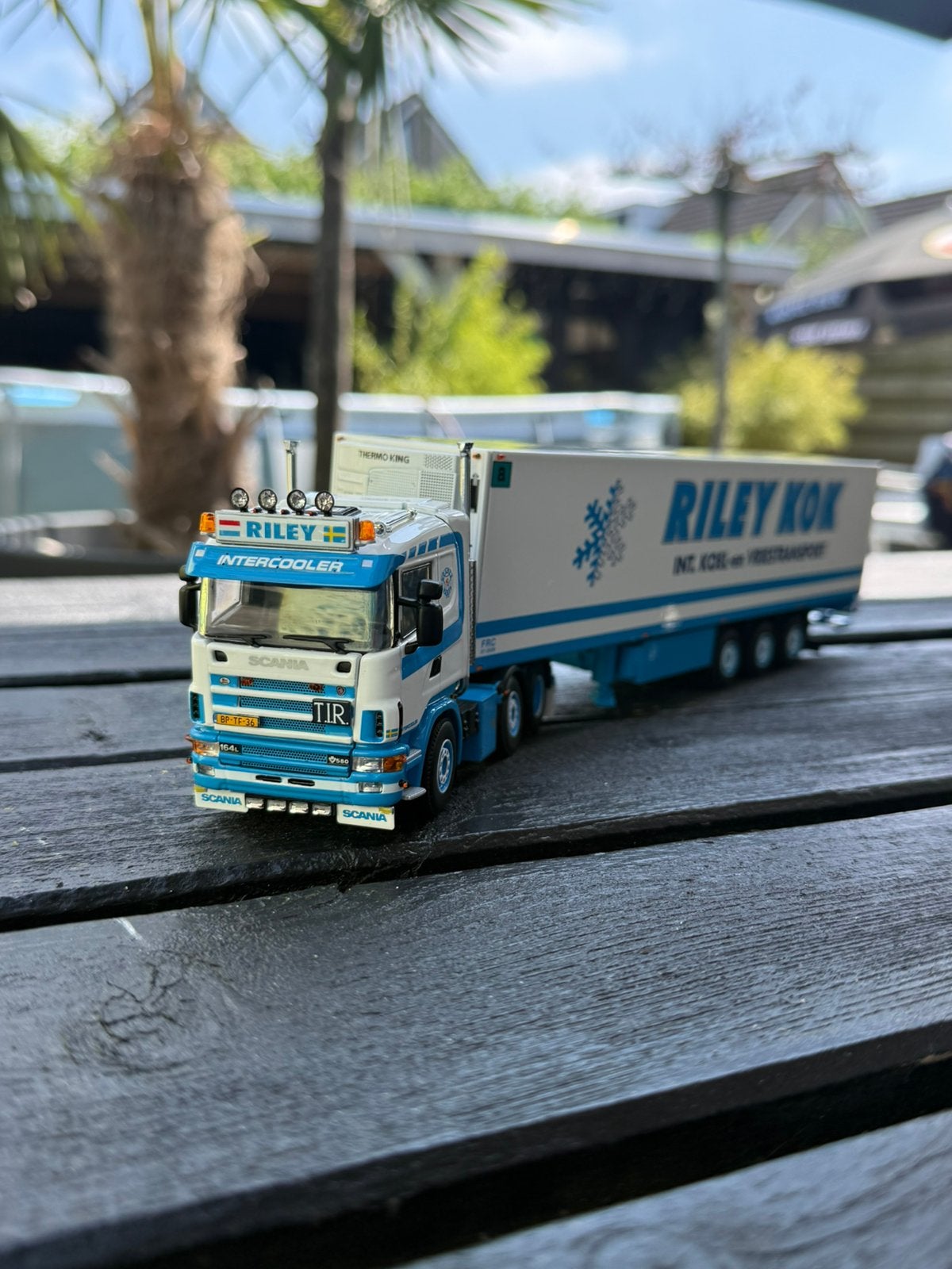 Wsi riley kok, Ophalen of Verzenden, Nieuw, Bus of Vrachtwagen, Wsi