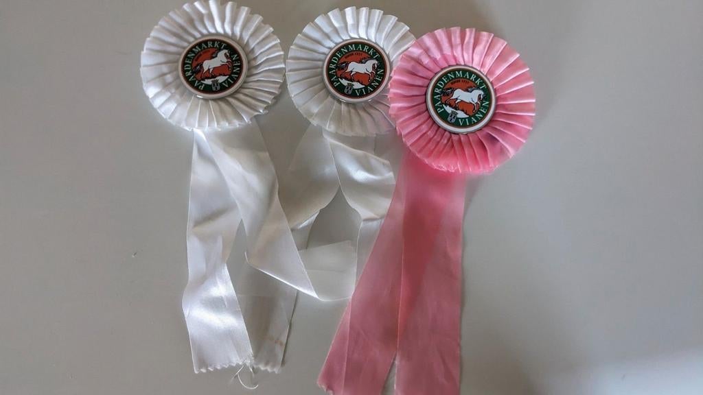 Rozetten leuk voor kinder feestje, Ophalen of Verzenden, Nieuw, Feestartikel