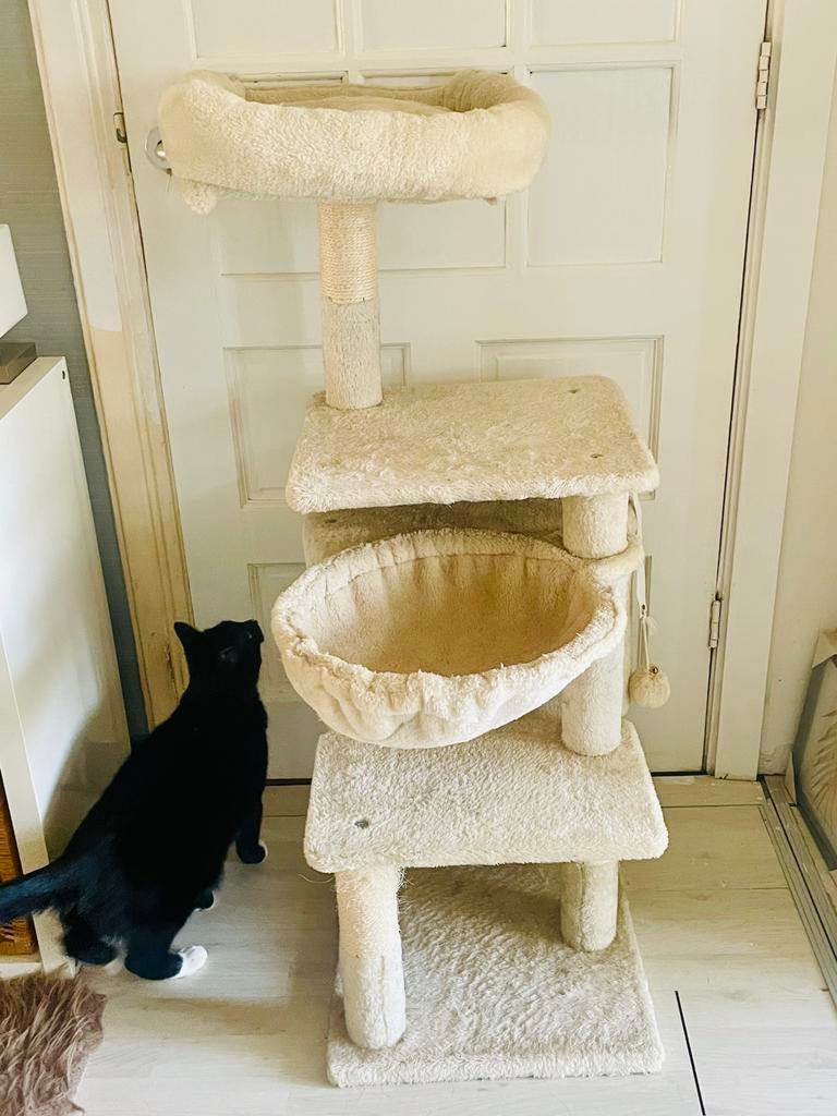 Acaza krabpaal, 110cm hoog. In prima staat!, Ophalen, Zo goed als nieuw, Krabpaal