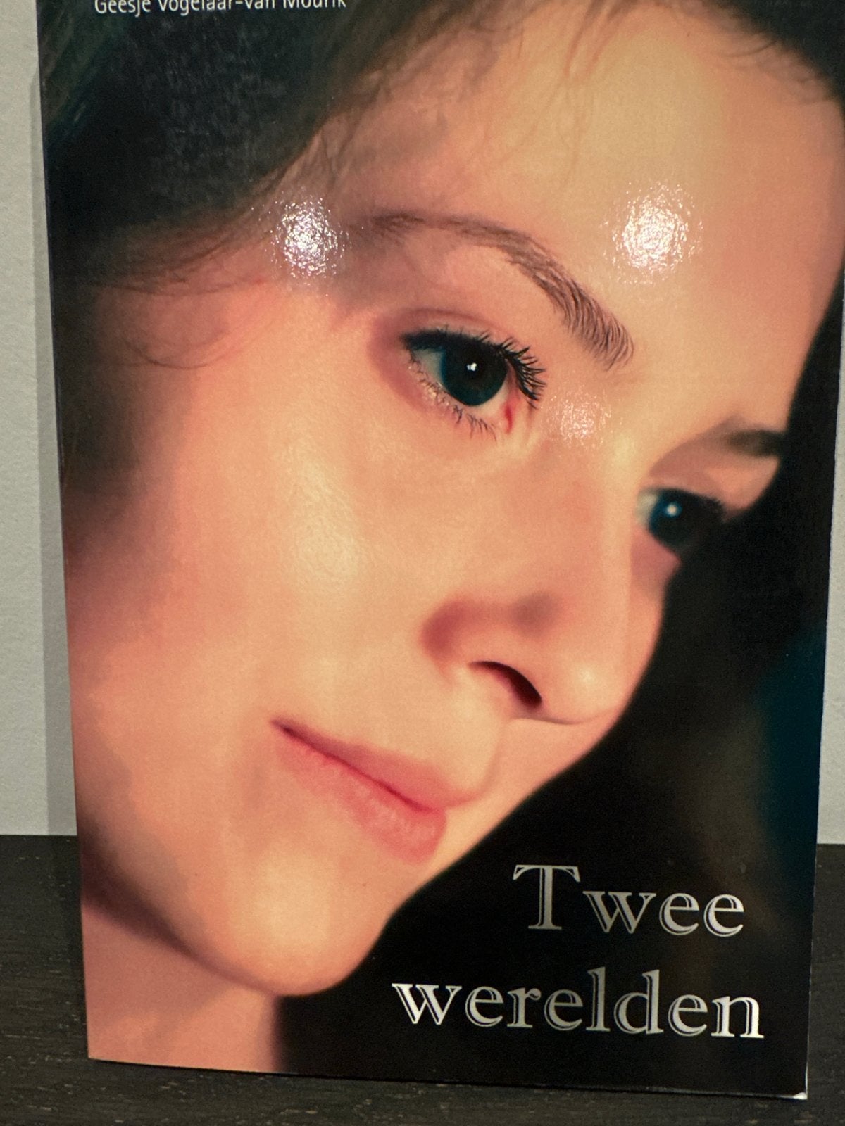 Twee Werelden - Geesje Vogelaar-van Mourik, Boeken, Ophalen of Verzenden, Zo goed als nieuw, Nederland