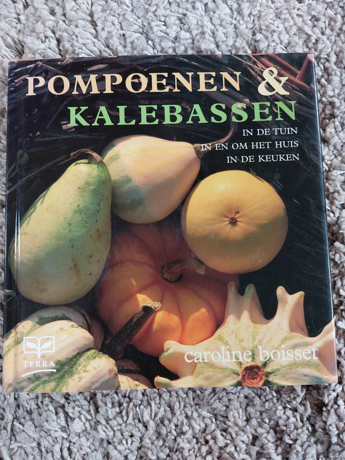 Pompoenen & Kalebasen - Kookboek en Decoratiegids, Voorgerechten en Soepen, Ophalen of Verzenden, Zo goed als nieuw, Caroline Boisset