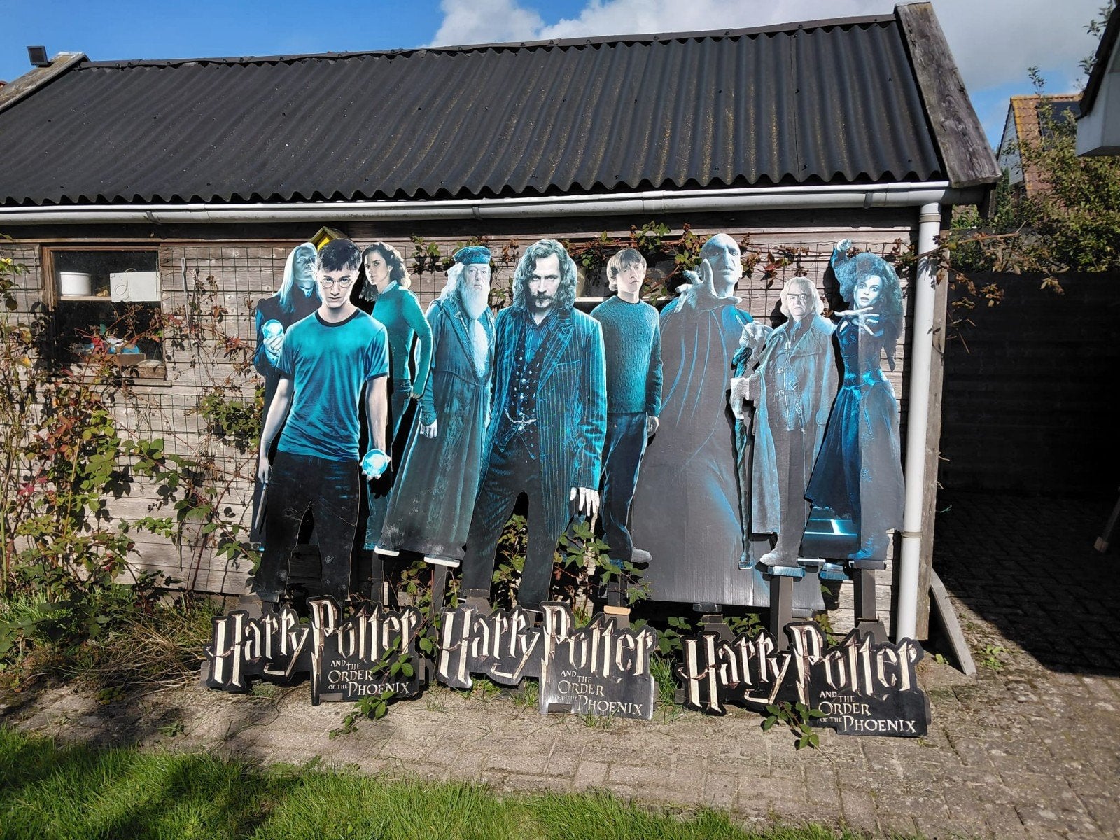 Harry Potter levensgrote promotie  figuren, Ophalen, Zo goed als nieuw, Actiefiguurtje