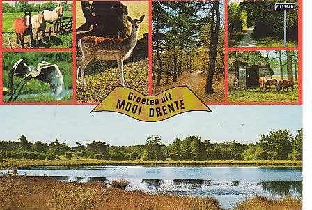 Ansichtkaart 	Drenthe	7-luik	Paarden, Verzenden, 1980 tot heden, Gelopen, Drenthe
