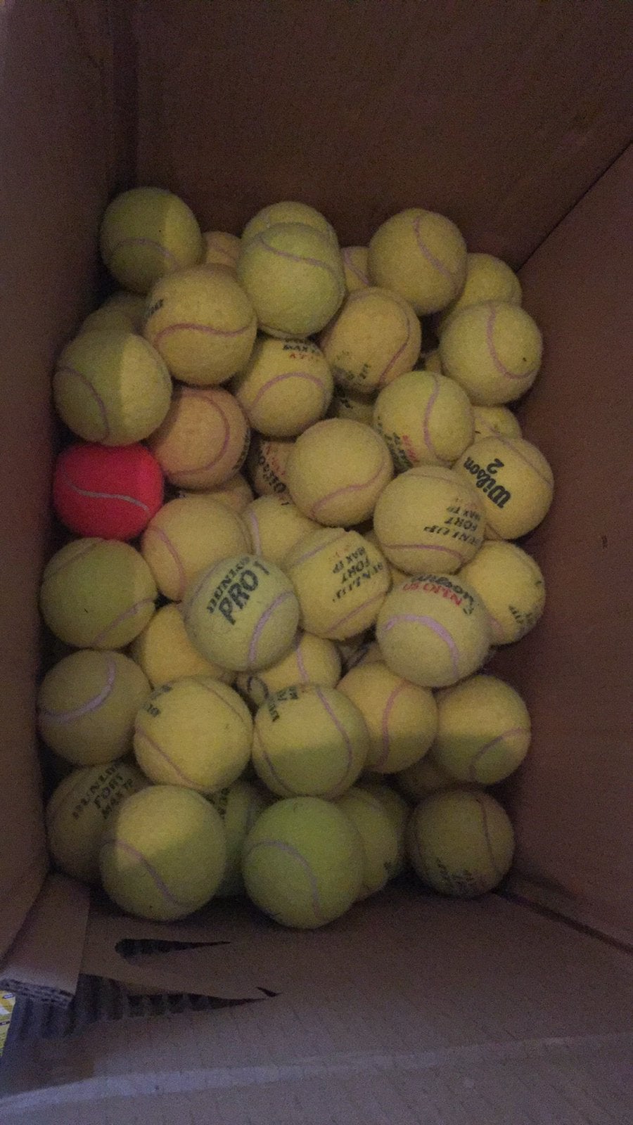 Gebruikte tennisballen, Overige merken, Gebruikt, Ballen, L00