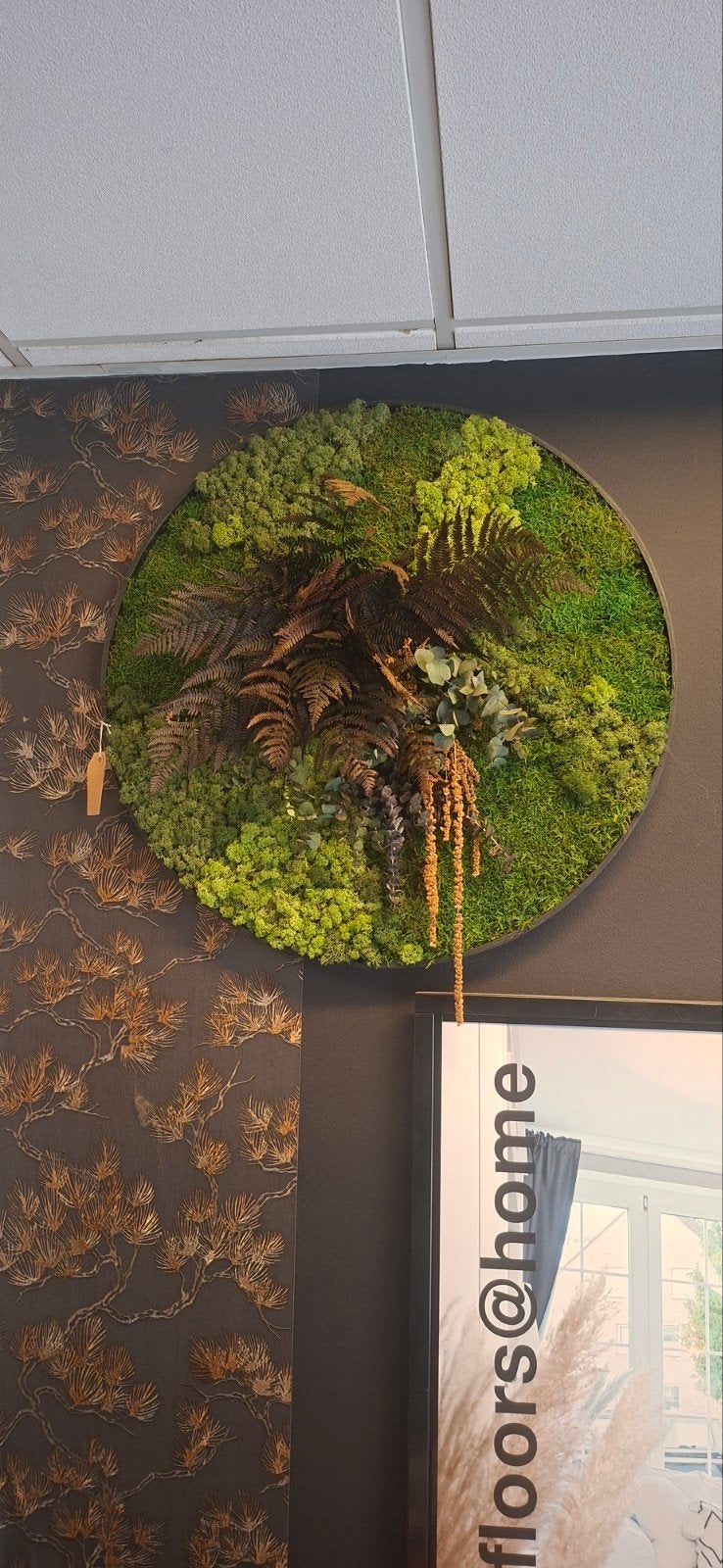 Nieuw! Ronde wanddecoratie met diverse mossen en varens, Ophalen, Groen, Decoratieobject, Zo goed als nieuw