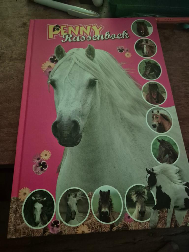 Penny Rassenboek: 12 Paarden- en Ponyrassen, Boeken, Ophalen of Verzenden, Zo goed als nieuw, Paarden of Pony's, Holco Publications bv