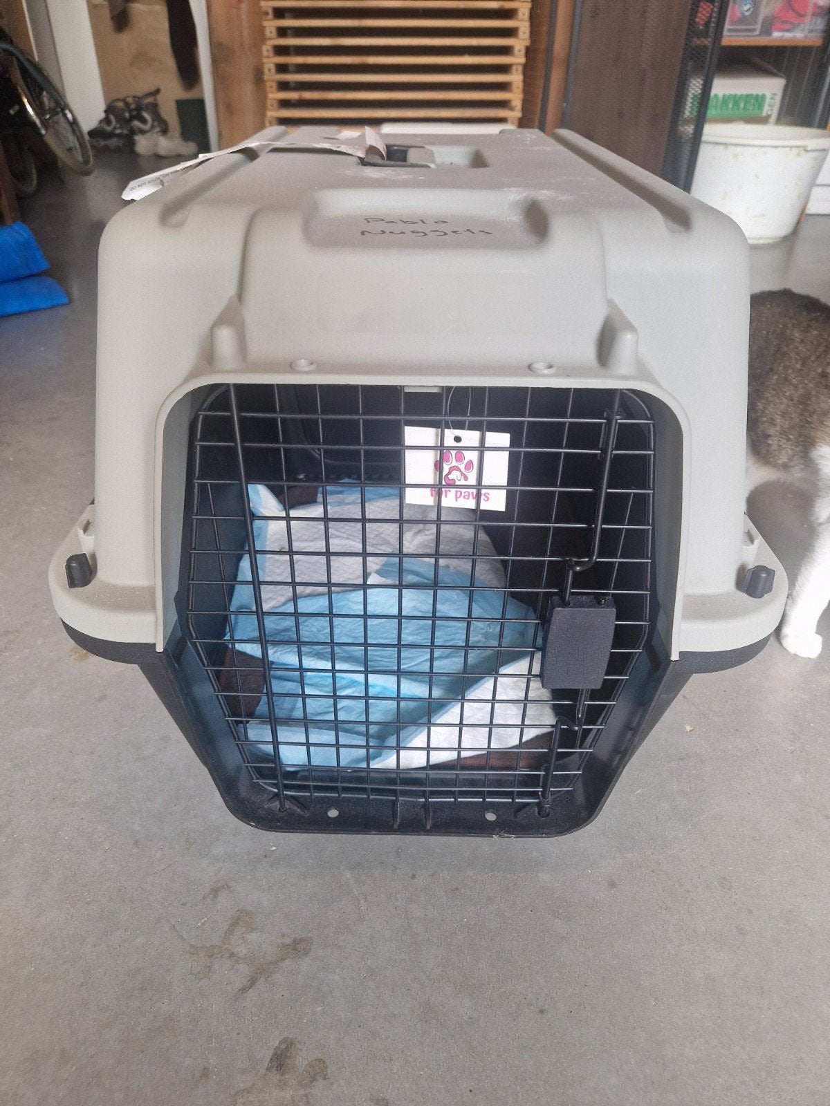 Transportbak / bench voor 2 katten of 1 hond, Ophalen