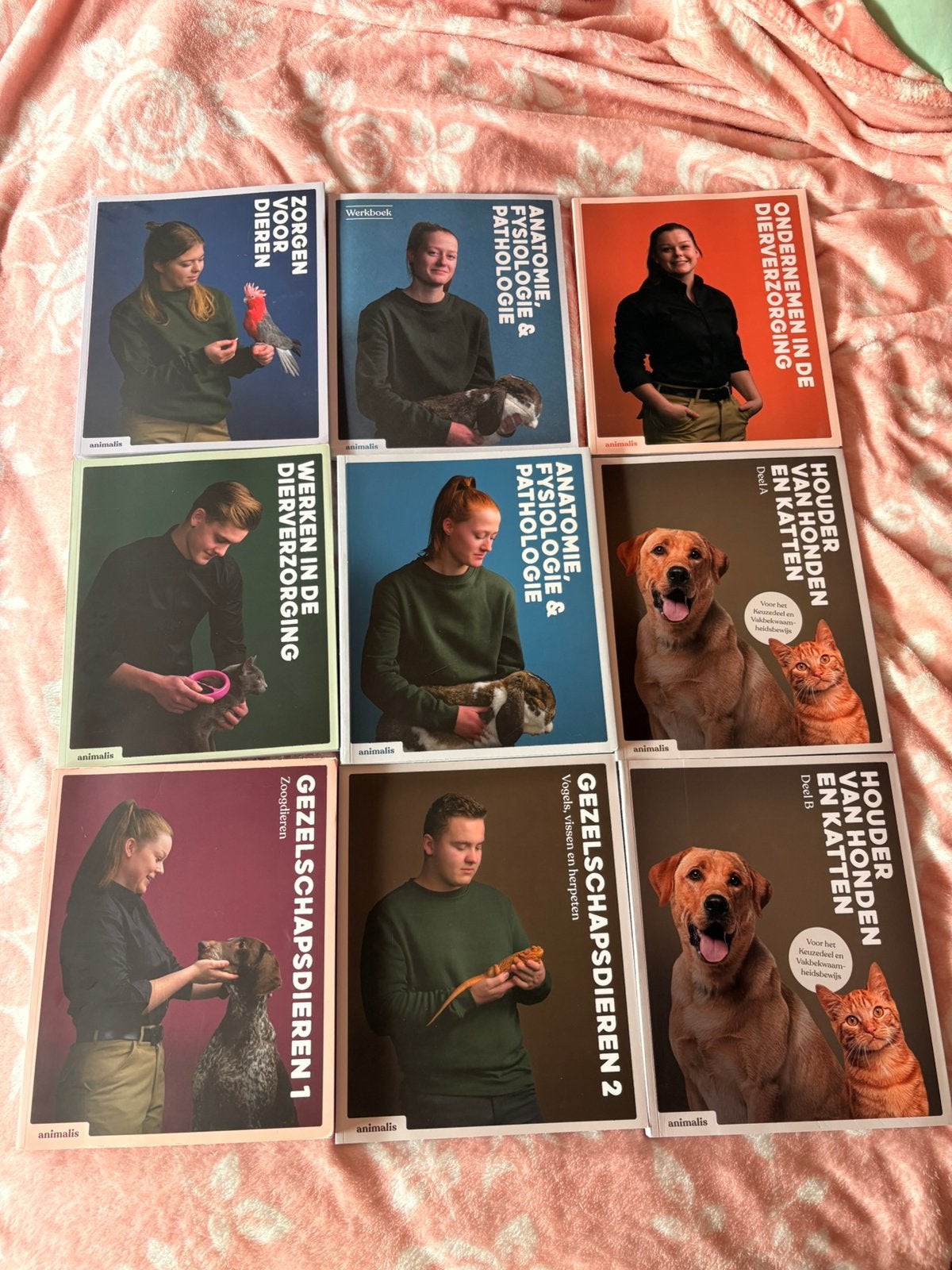 9 studieboeken opleiding dierverzorging mbo, Ophalen of Verzenden, Beta, Nieuw, MBO