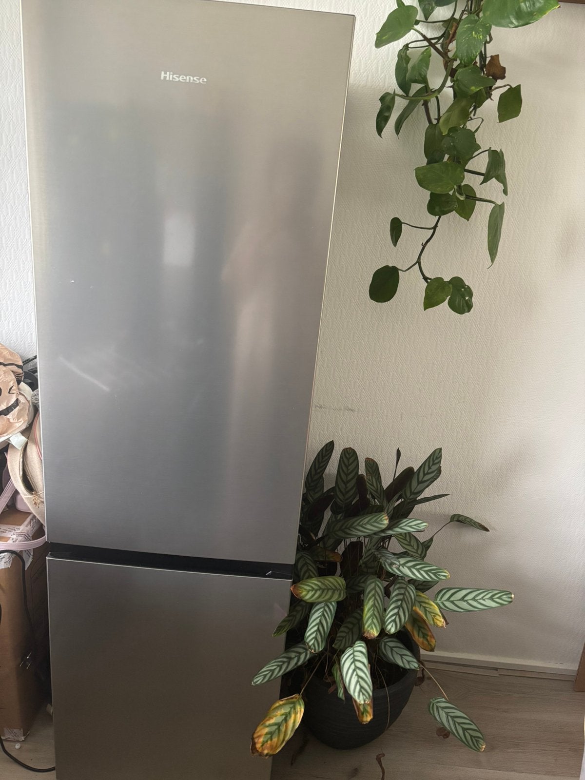 Hisense koelkast, Witgoed en Apparatuur, Ophalen, Zo goed als nieuw, Zonder vriesvak, 160 cm of meer