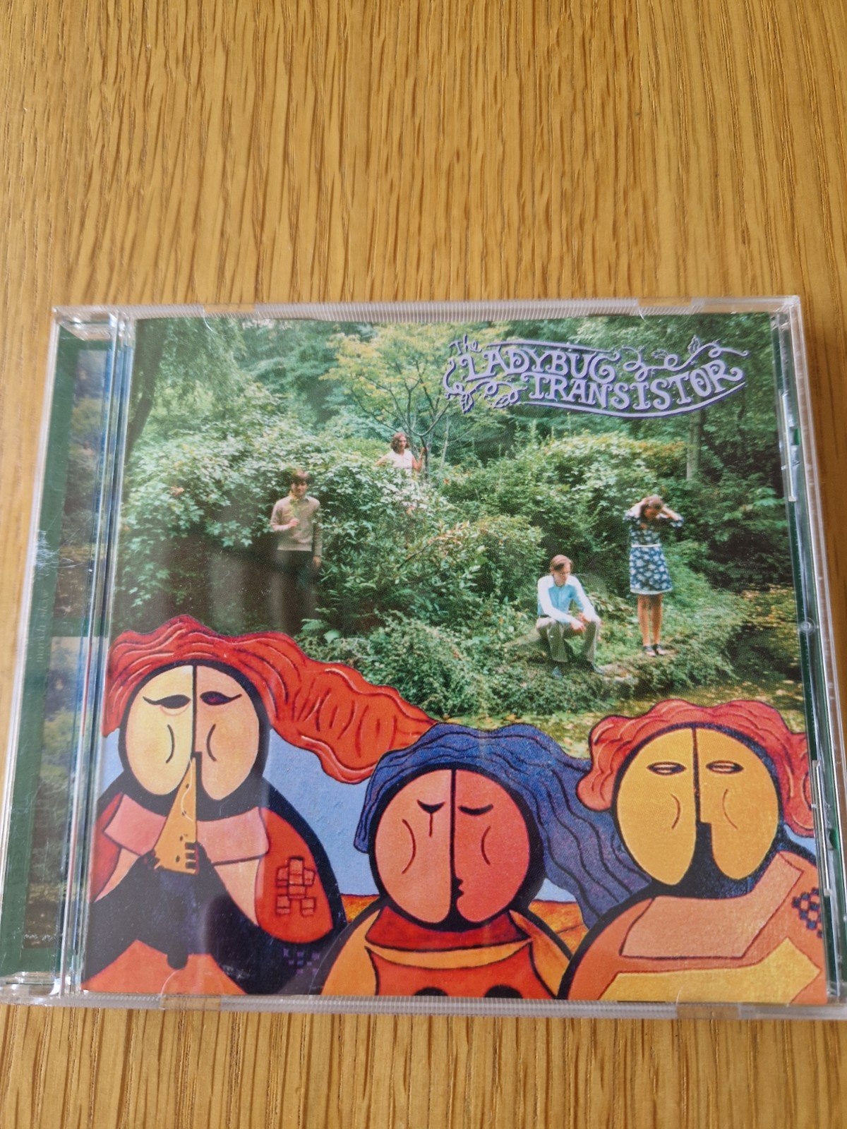 The Ladybug Transistor – Albemarle Sound CD, Ophalen of Verzenden, Zo goed als nieuw, Poprock