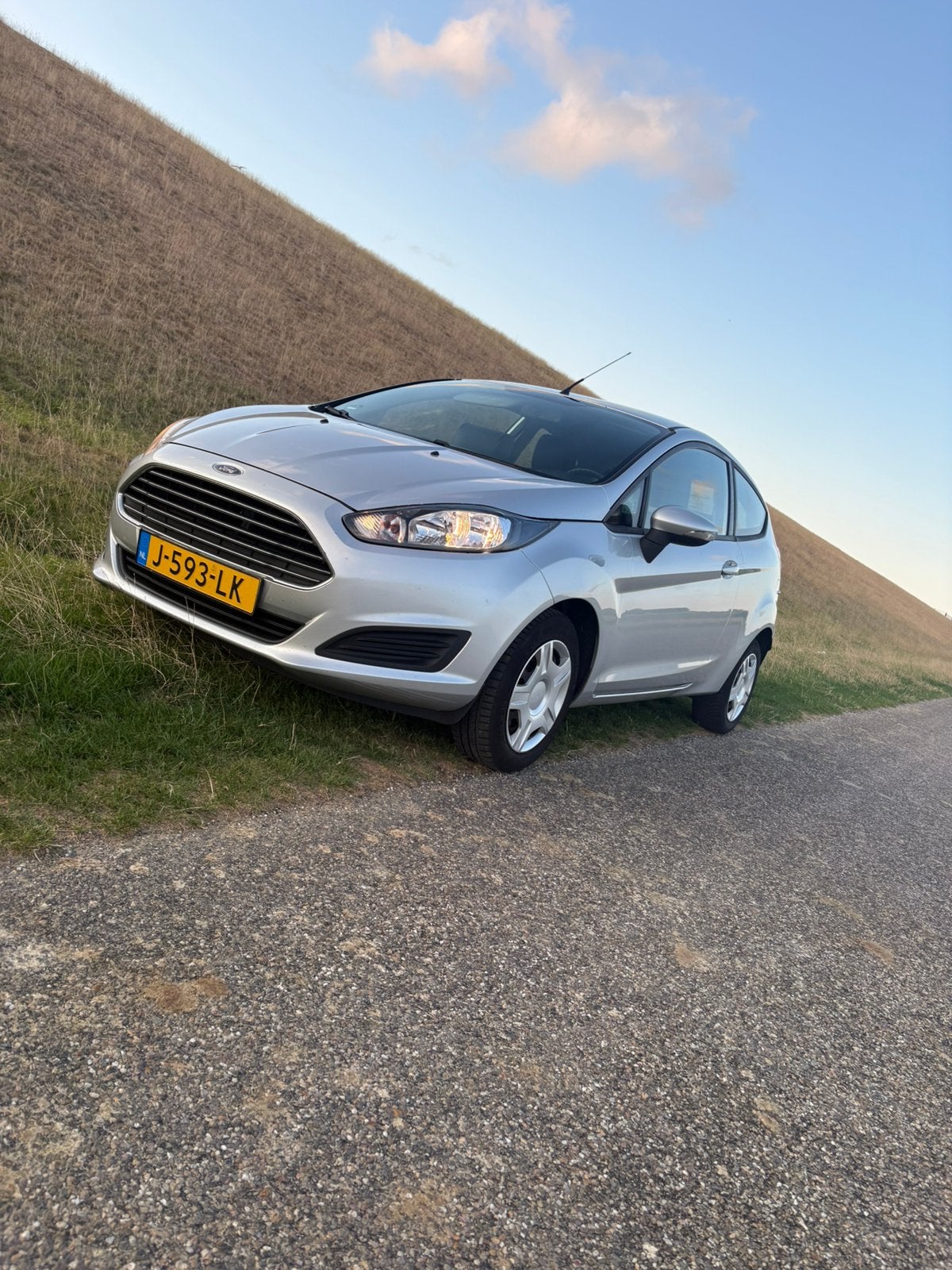 Ford Fiësta 1.25 60pk 3D 2013 Grijs, 4 cilinders, Handgeschakeld, 19 km/l, Particulier