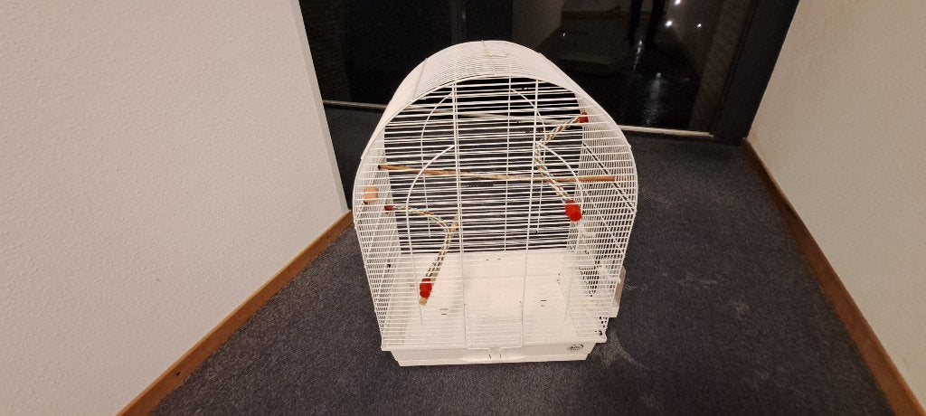 Vogelkooi,  voederhuisje (Alleen tot zaterdag), Ophalen, Zo goed als nieuw, Metaal, Vogelkooi