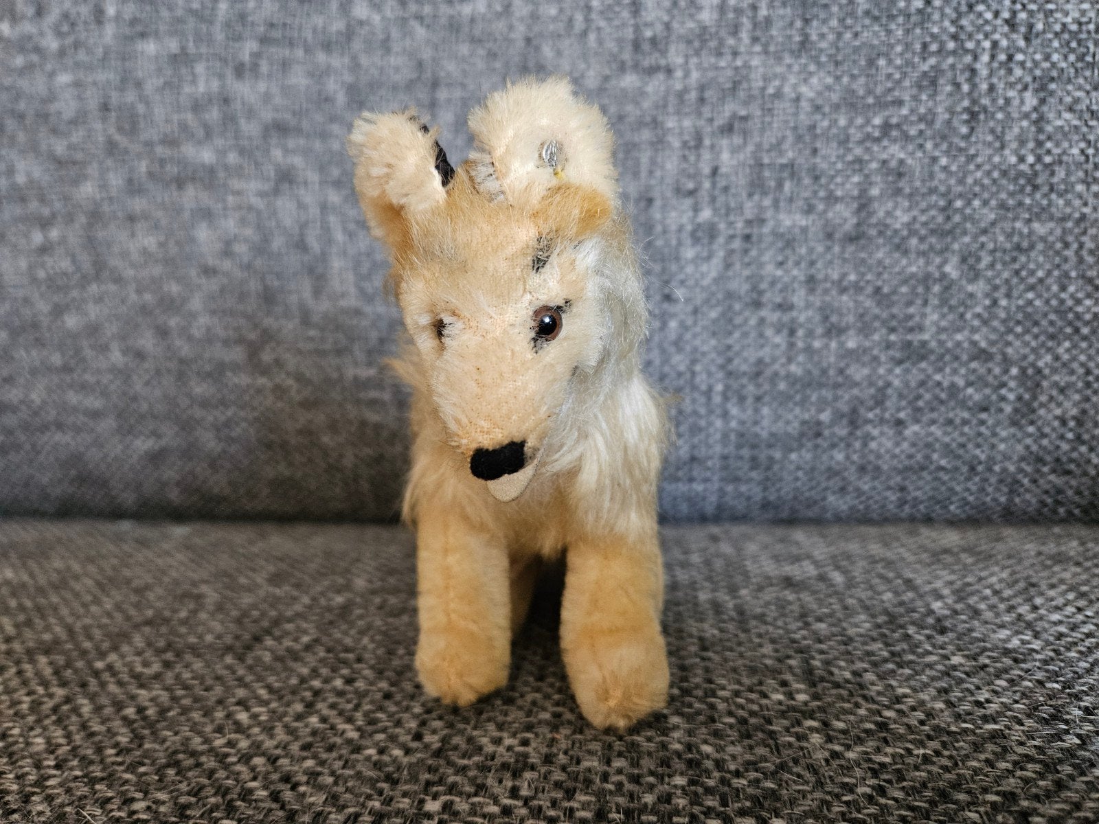 Vintage Steiff hondje met knop en vaandel, Antiek en Kunst, Ophalen of Verzenden