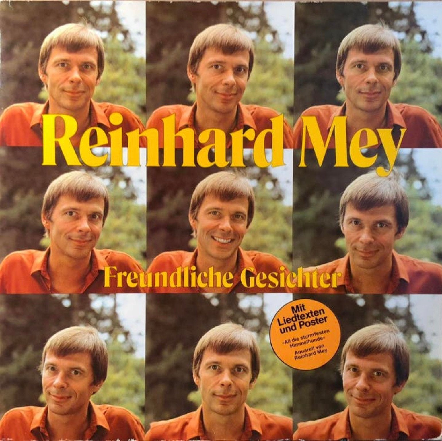 Vinyl Reinhard Mey - Freundliche Gesichte, Verzenden, Gebruikt