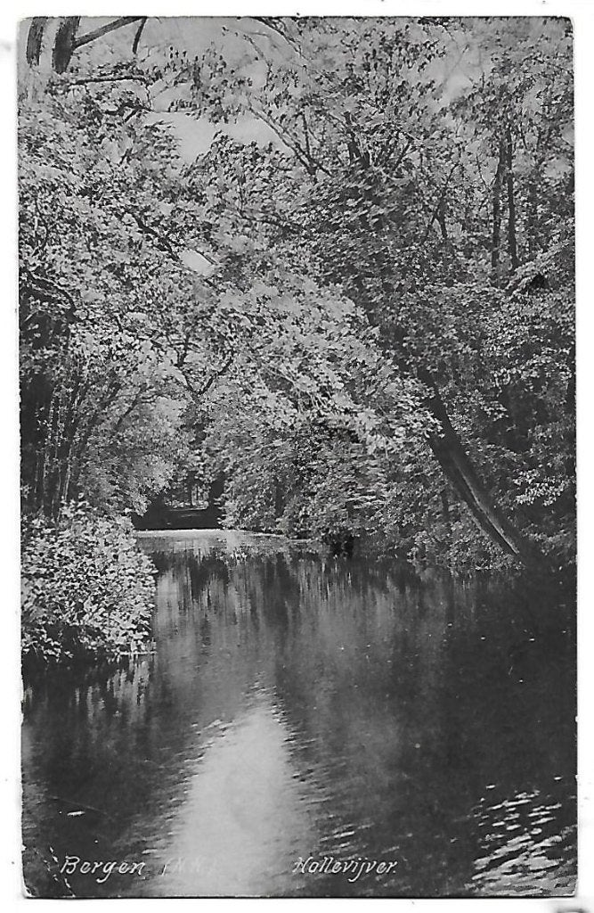 Bergen Hollevijver Oude Gelopen ansichtkaart ( B888 ), Ophalen of Verzenden, 1940 tot 1960, Gelopen, Noord-Holland