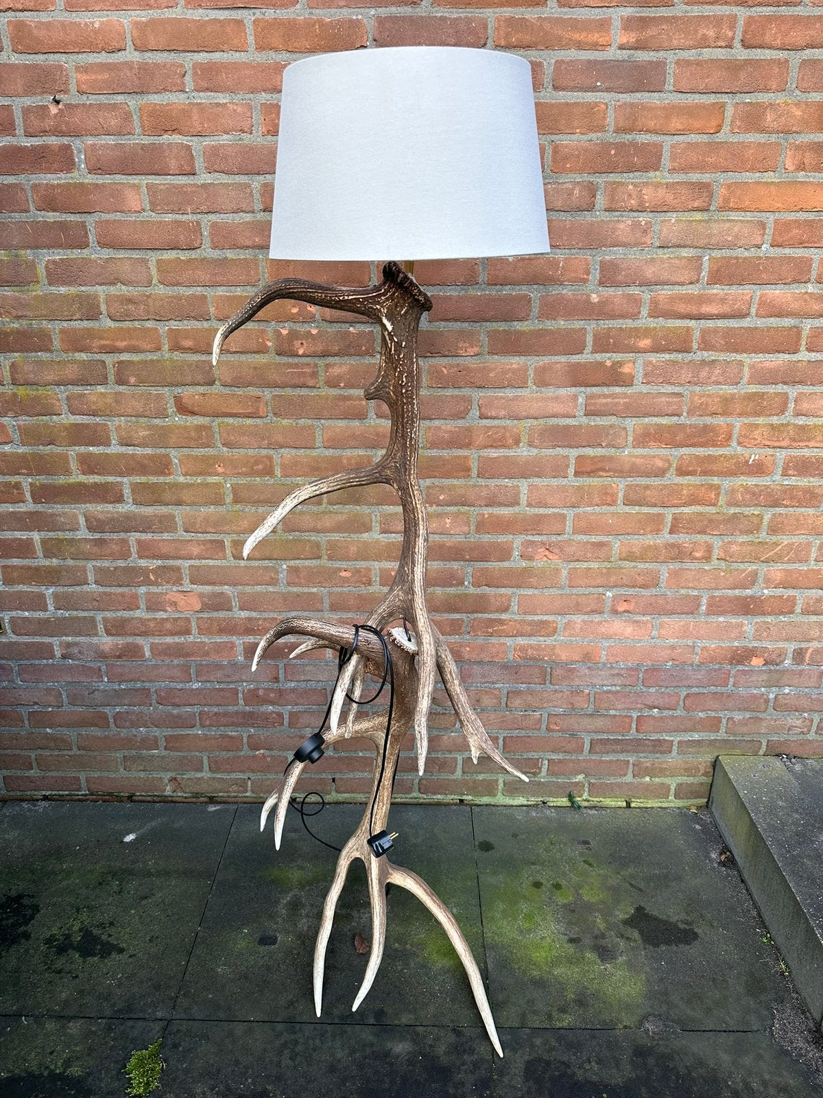 Gewei geweien lamp jacht Veluwe geweien edelhert vloerlamp, Ophalen, Nieuw, E27 (groot), 100 tot 150 cm
